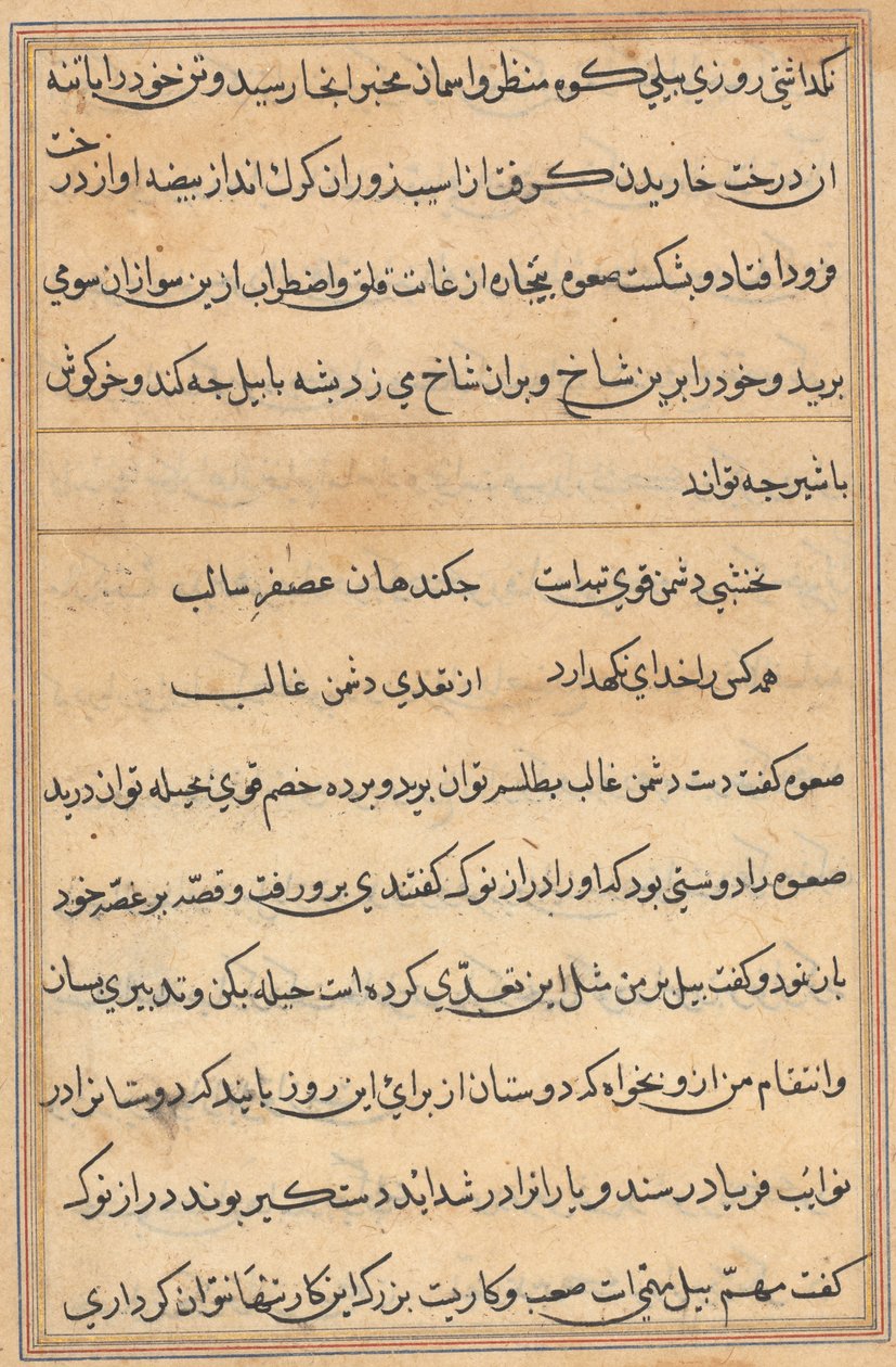 Pagina uit Verhalen van een Papegaai (Tuti-nama): tekstpagina door Unknown artist