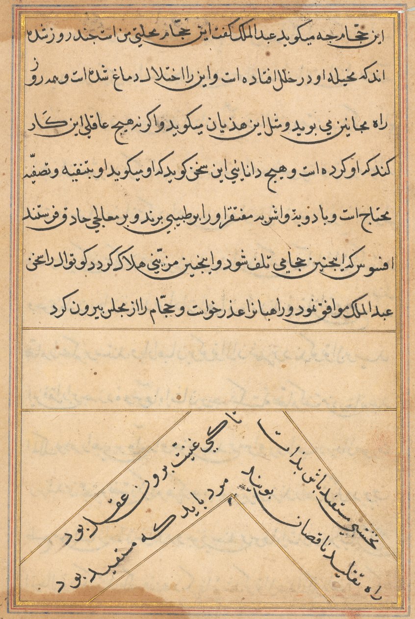 Pagina uit Verhalen van een Papegaai (Tuti-nama): tekstpagina door Unknown artist