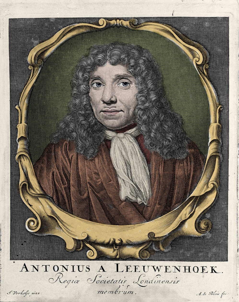 Portret van Antonie Van Leeuwenhoek of Anton van Leeuwenhoek, of Leeuvenhoek, of Leeuwenhoeck. Nederlandse natuuronderzoeker (1632-1723). gravure uit 1722 door Unknown artist