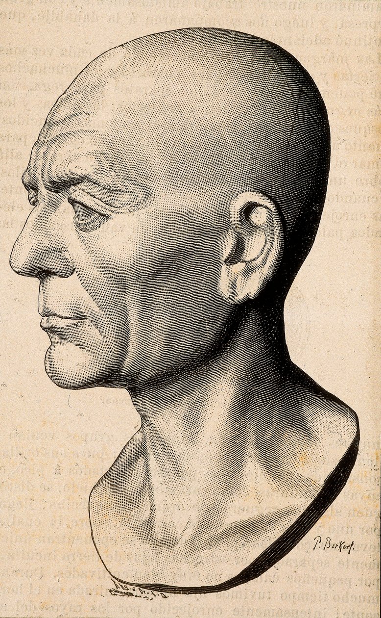Portret van Publius Cornelius Scipio (Scipio de Afrikaan) Africanus, Romeinse staatsman (235-183 v.Chr.) door Unknown artist