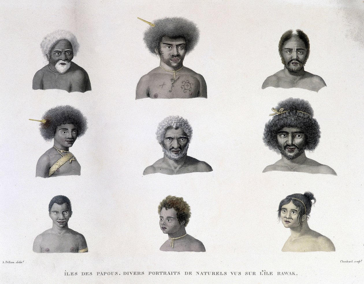 Portretten van de Papua van Rawak-eiland door Unknown artist
