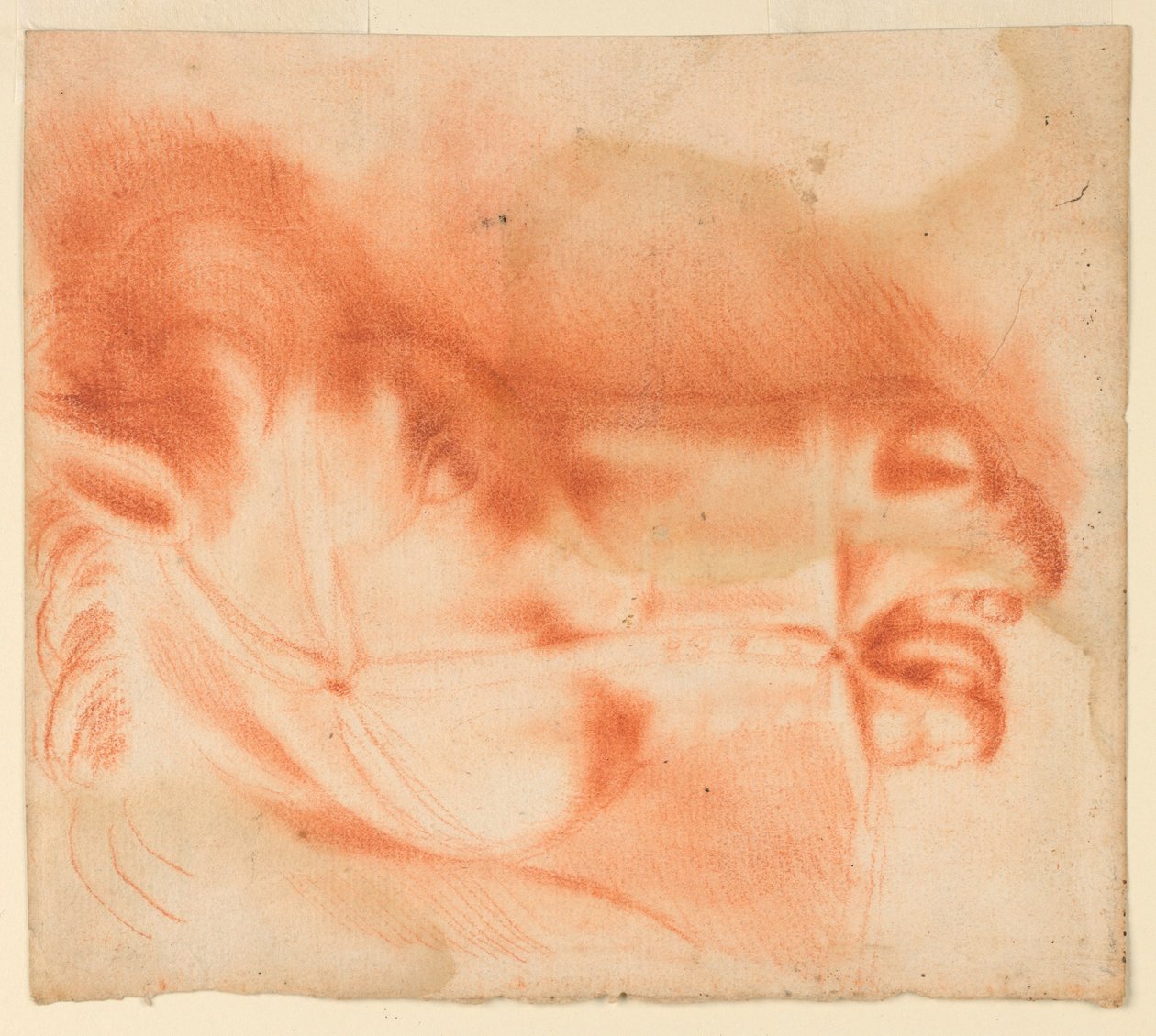 Profiel van paardenhoofd met hoofdstel in profiel door Unknown artist
