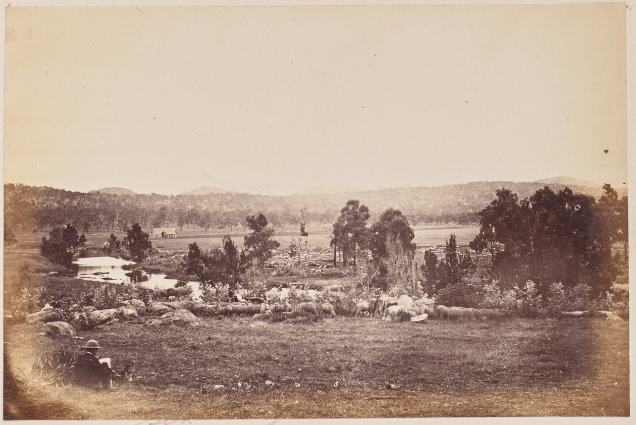 Rangersvallei, Noordoosten, Glen Innes door Unknown artist