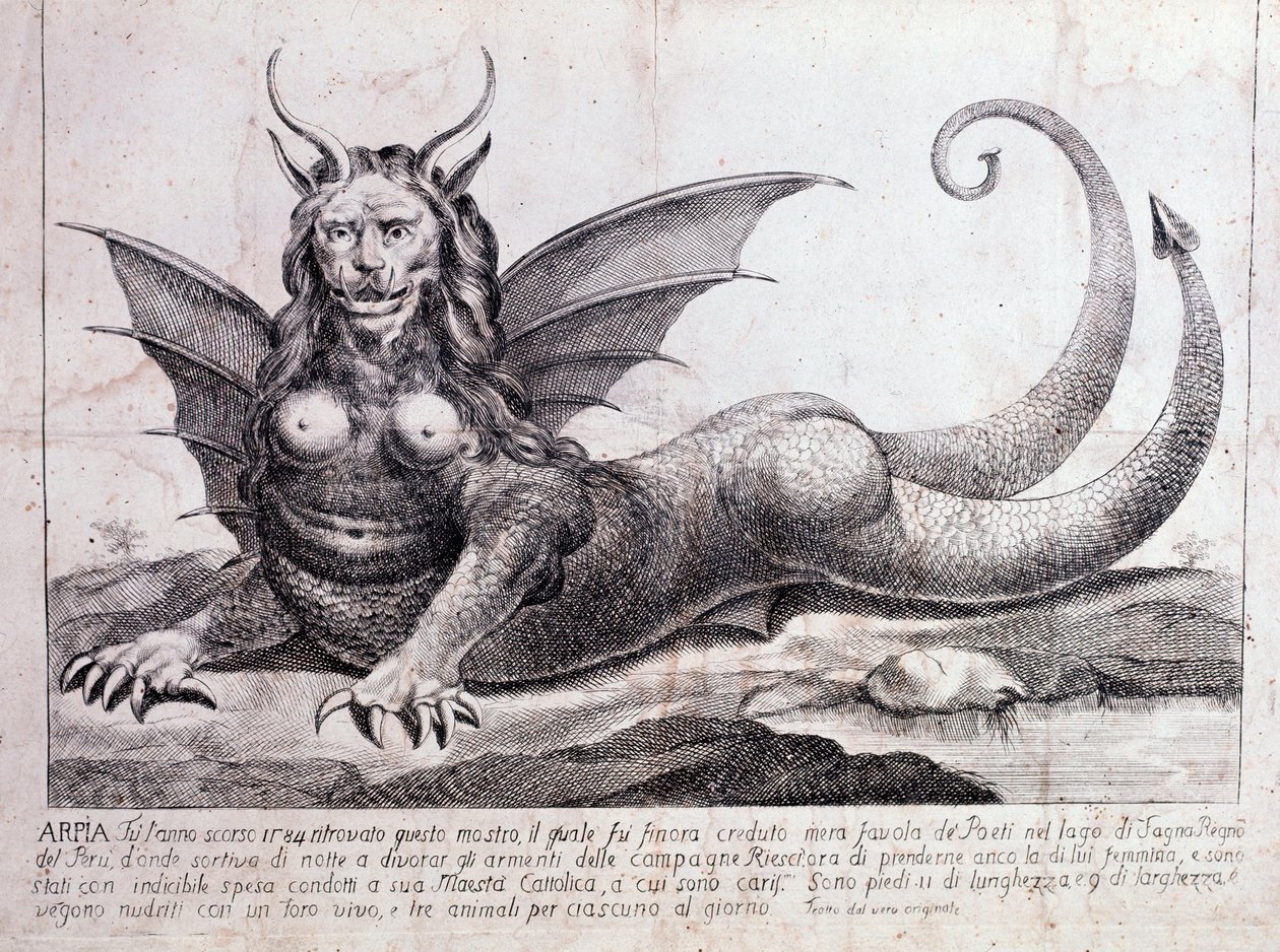 Voorstelling van een harpij, een monster gevonden in een Peruaans meer door Unknown artist