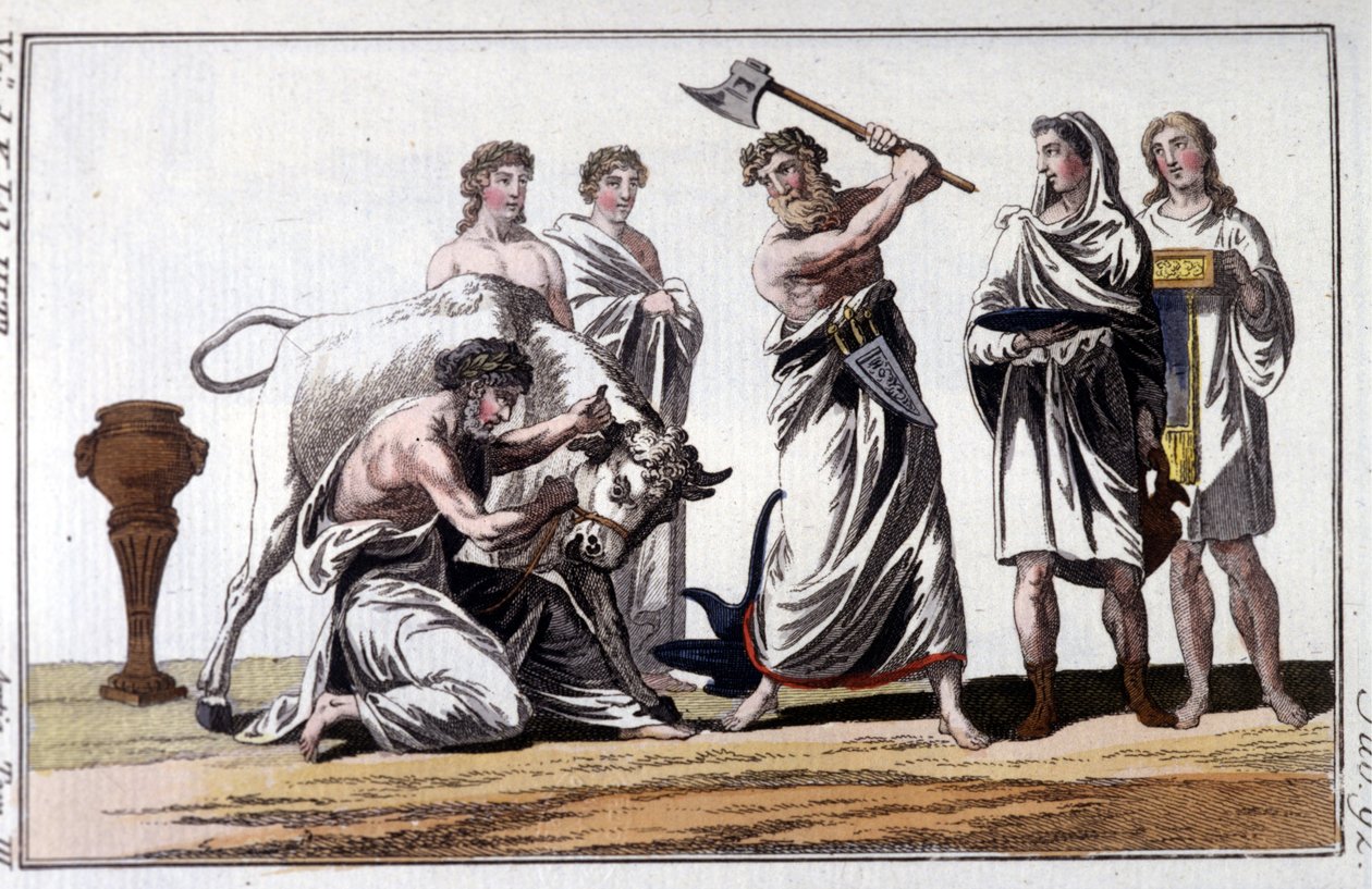 Offer van een stier onder de Kelten. Gravure uit de 19e eeuw. door Unknown artist