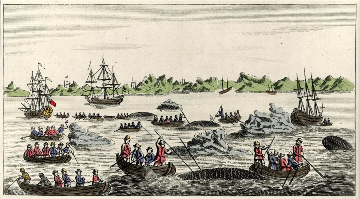 Scène van walvisvangst in Groenland in de 18e eeuw, anonieme populaire prent uit die periode door Unknown artist