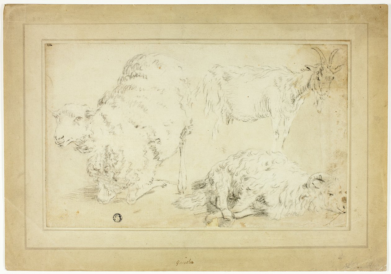 Schetsen van schapen en geit door Unknown artist