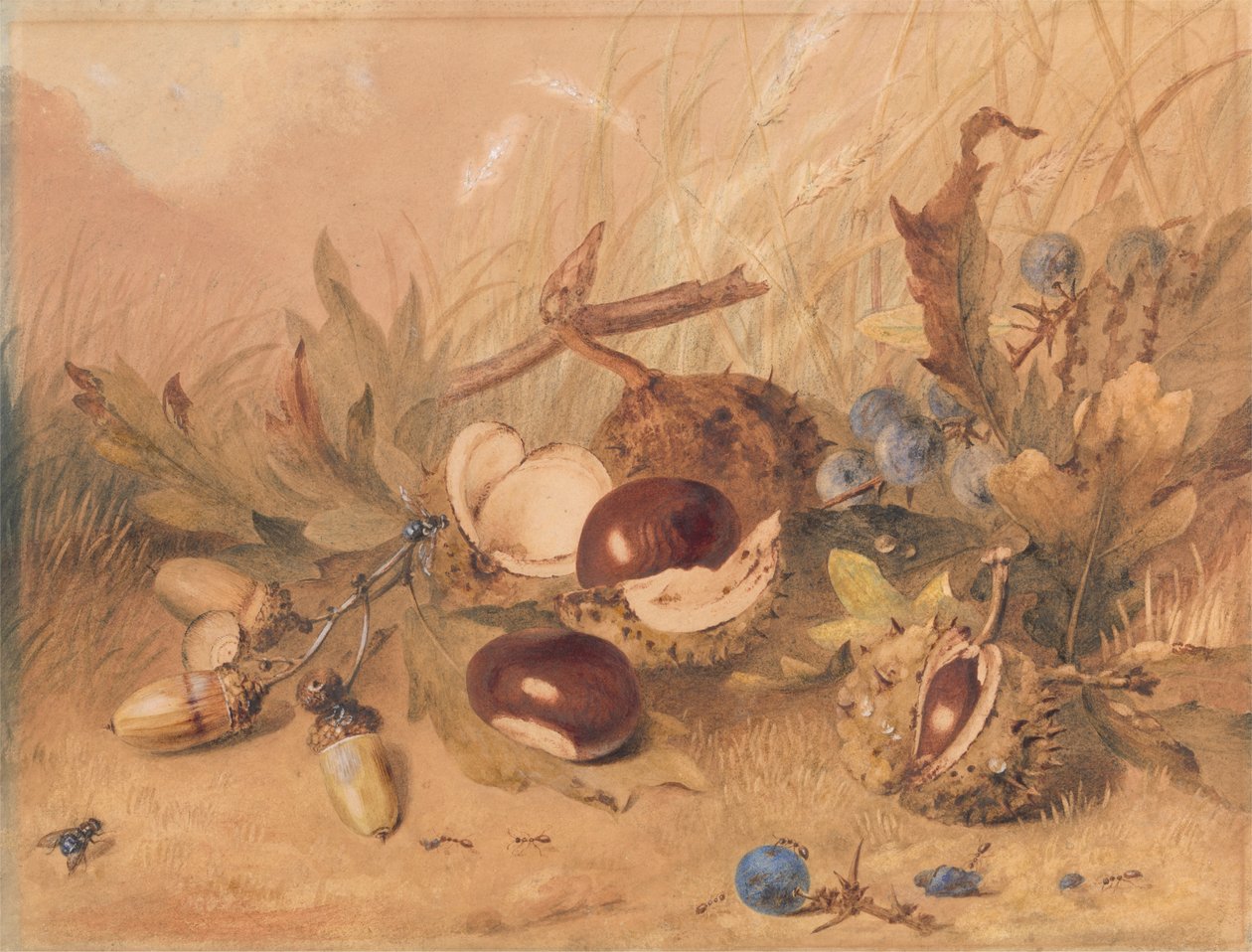 Stilleven met eikels en paardenkastanjes door Unknown artist