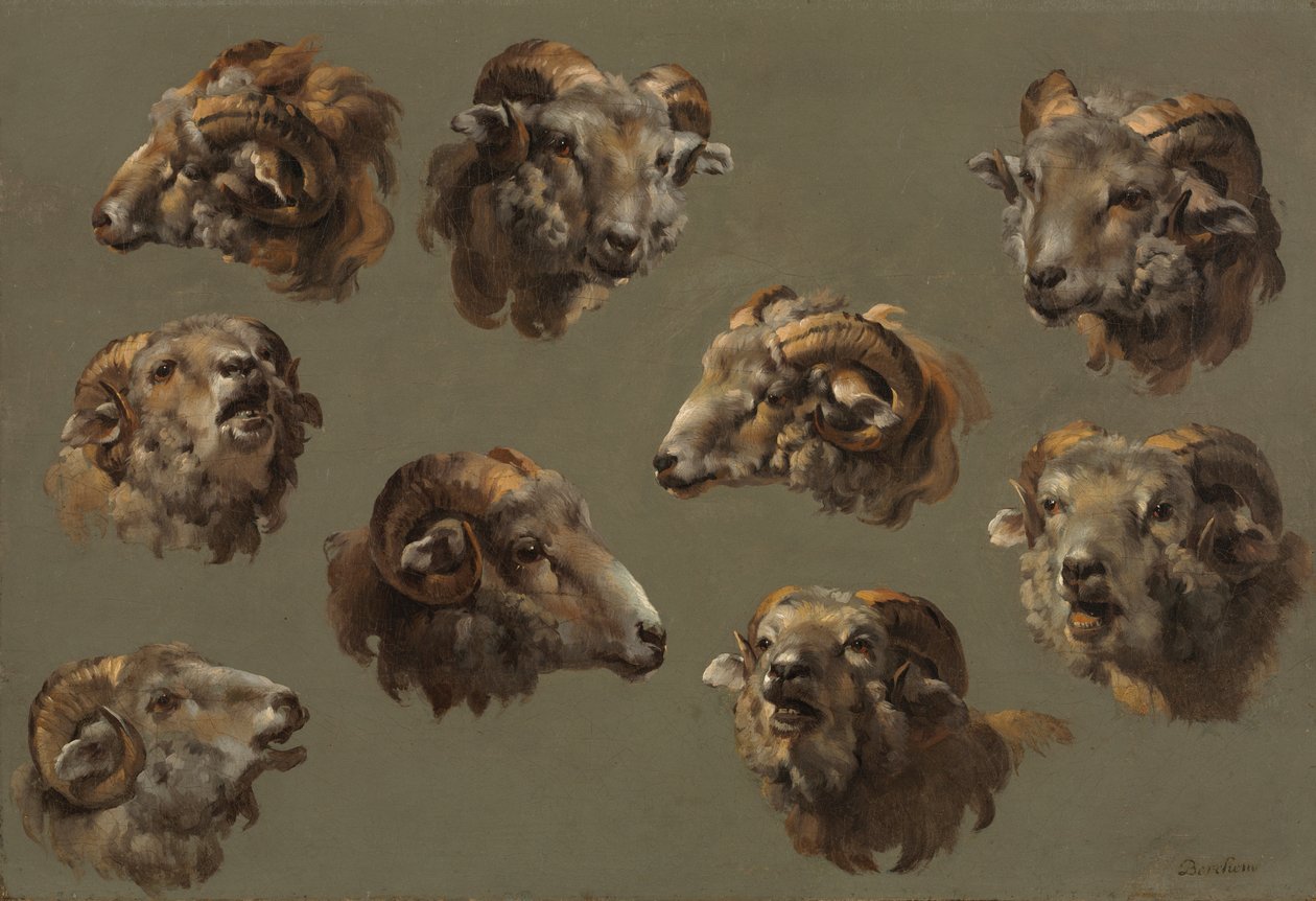Studies van ramshoofden door Unknown artist