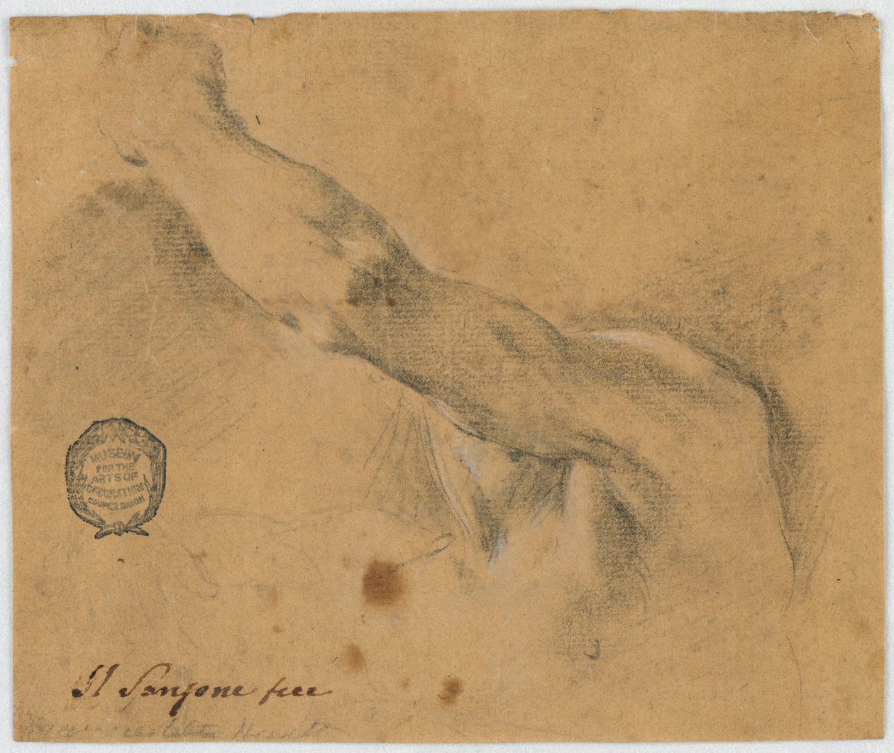 Studie: De linkerarm en de aangrenzende delen van het lichaam van een oudere man door Unknown artist