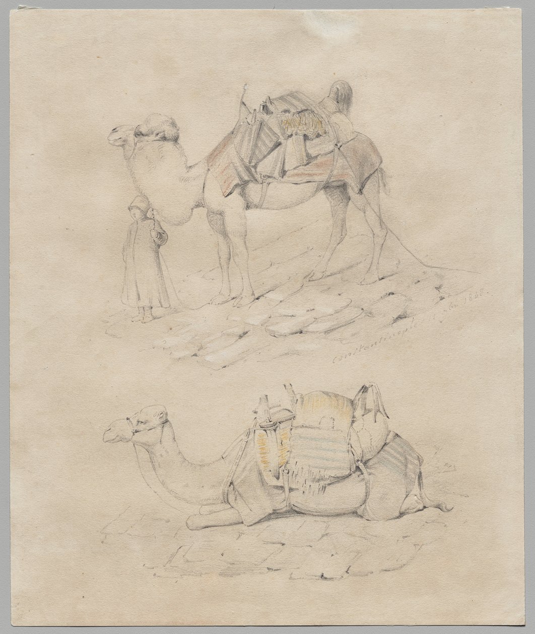 Studie van Kamelen door Unknown artist