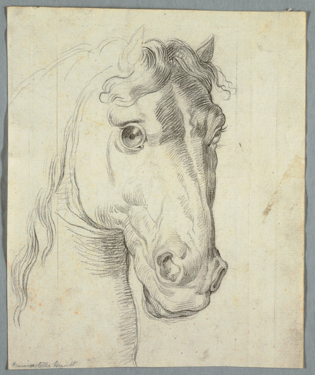 Studie van een Paard door Unknown artist