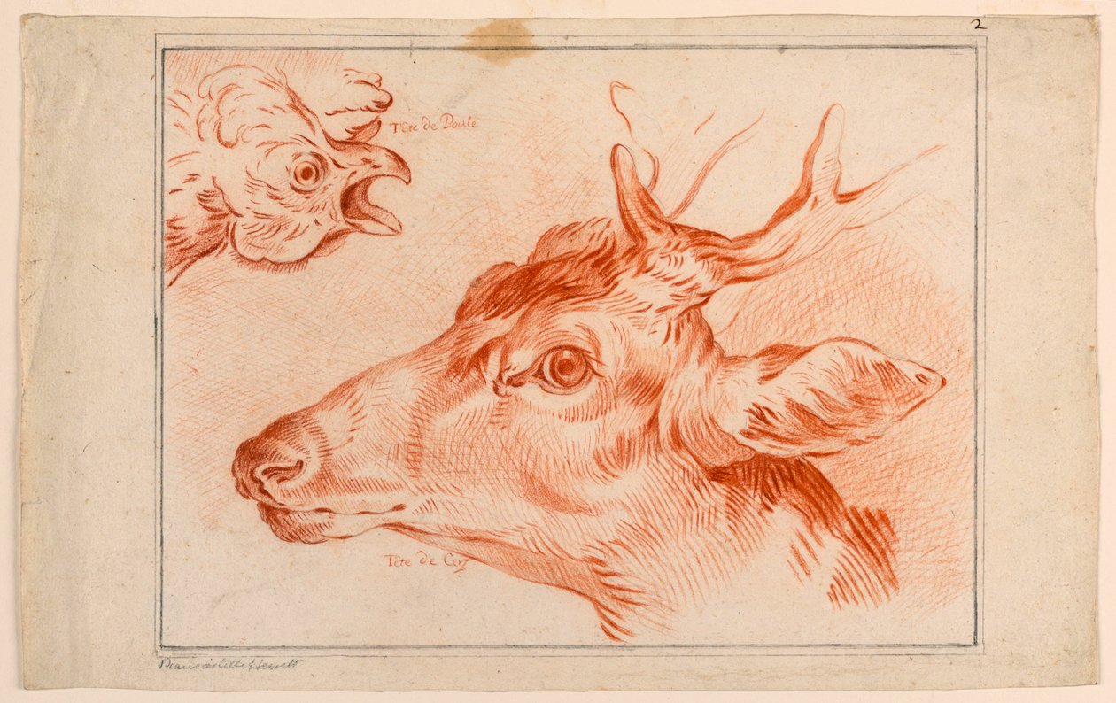 Studie van de koppen van een kip en hert door Unknown artist