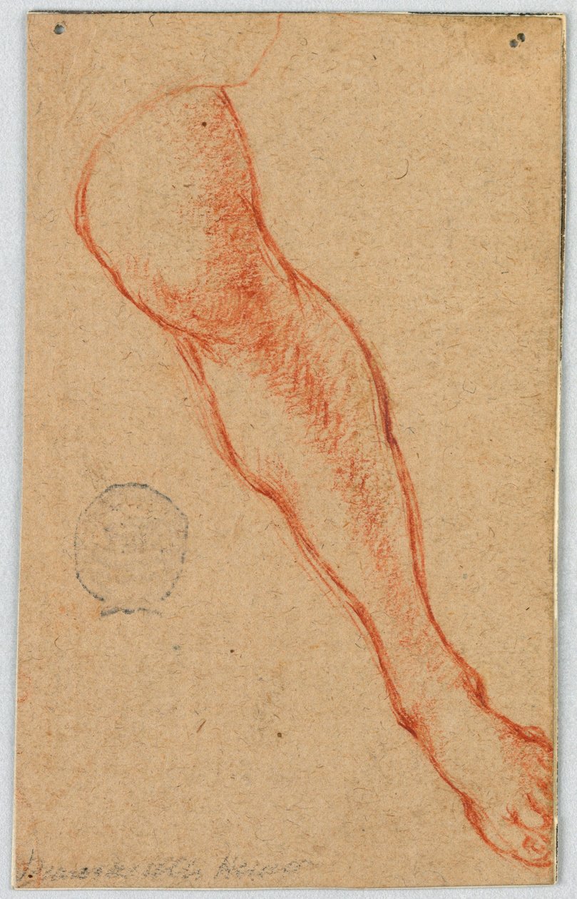 Studie van het linkerbeen van een zittende vrouw door Unknown artist