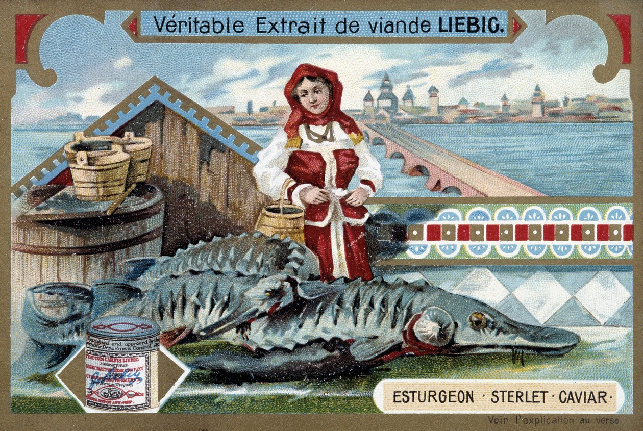 Steur, sterlet, kaviaar, met een jonge vrouw die emmers vasthoudt, voor een Russische stad - Liebig chromolithografie door Unknown artist