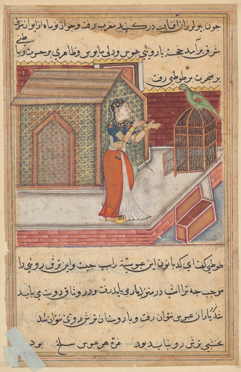 De papegaai spreekt Khujasta aan het begin van de negenenveertigste nacht, uit een Tuti-nama (Verhalen van een Papegaai): Negenenveertigste Nacht door Unknown artist