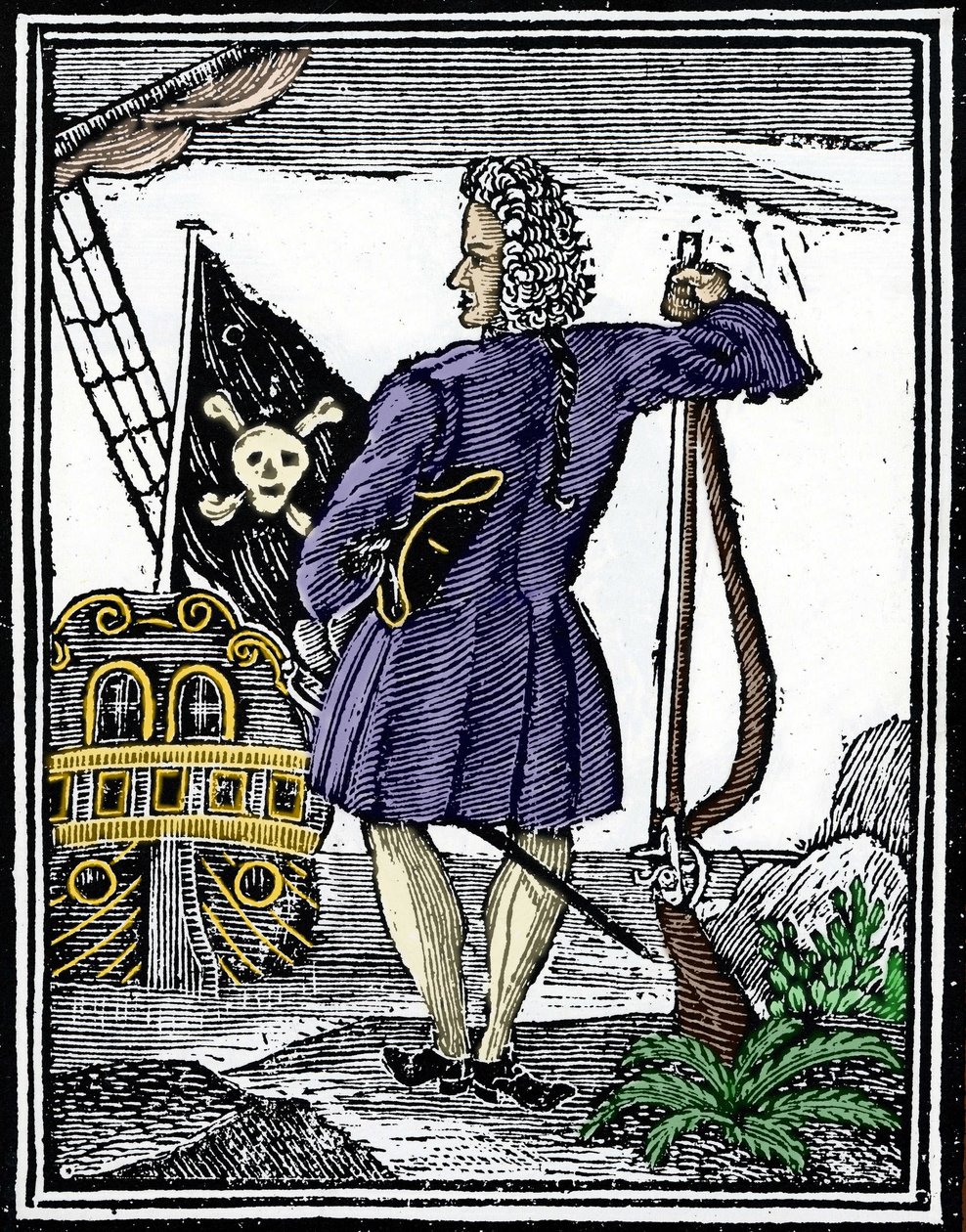 De piraat 
