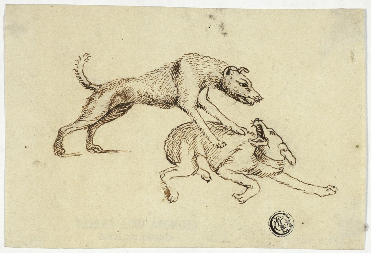 Twee vechtende honden door Unknown artist