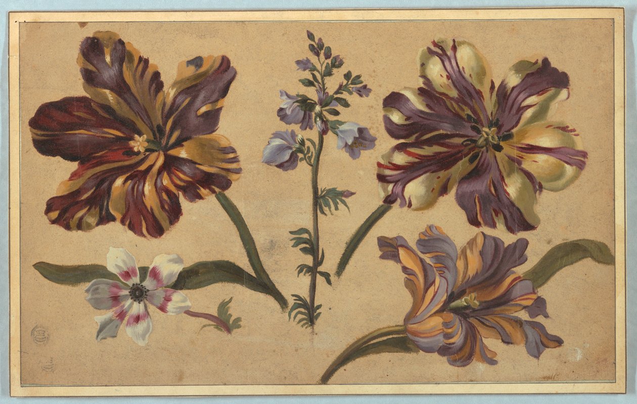 Verschillende bloemen door Unknown artist