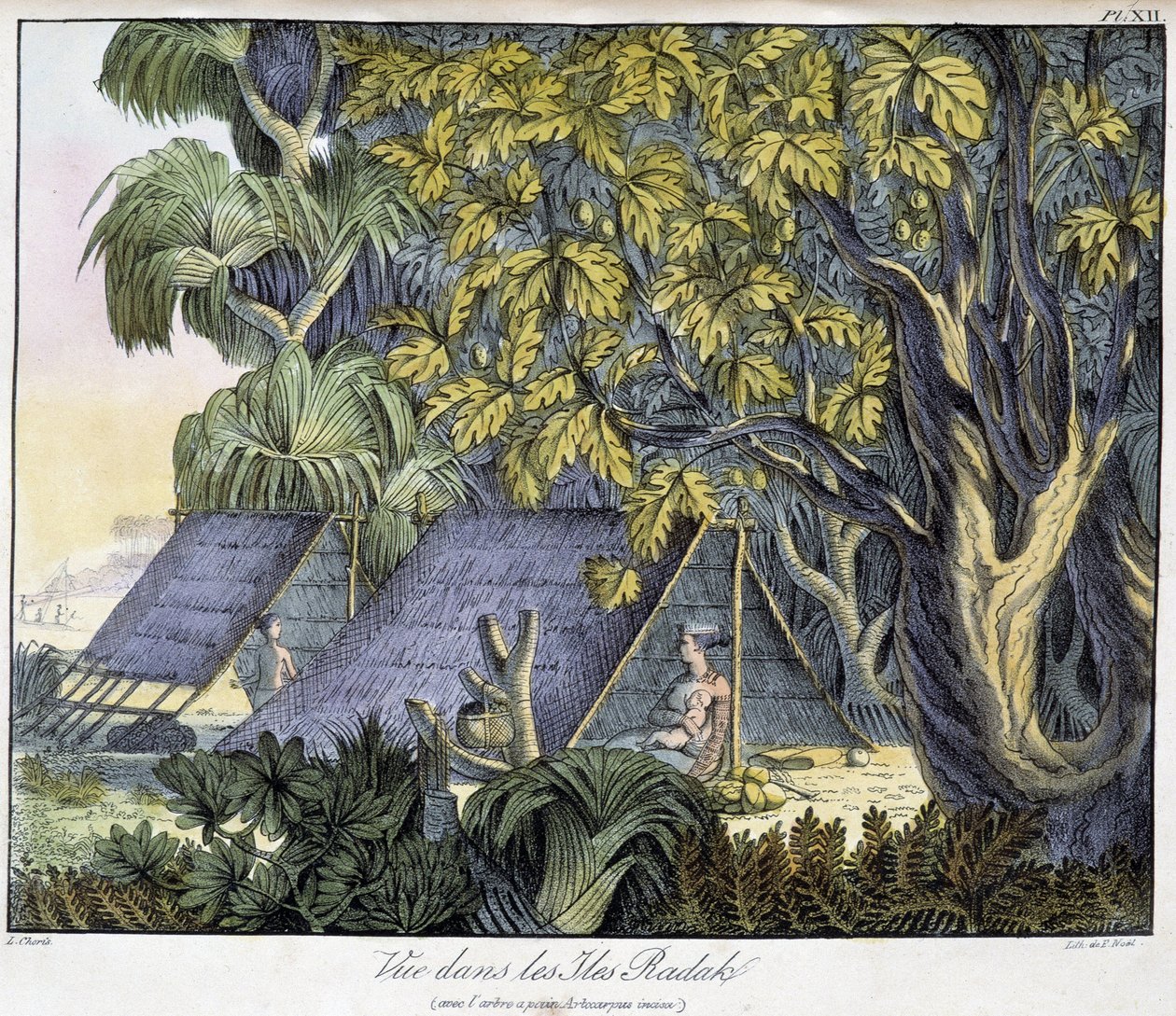 Uitzicht op de Radack-eilanden door Unknown artist