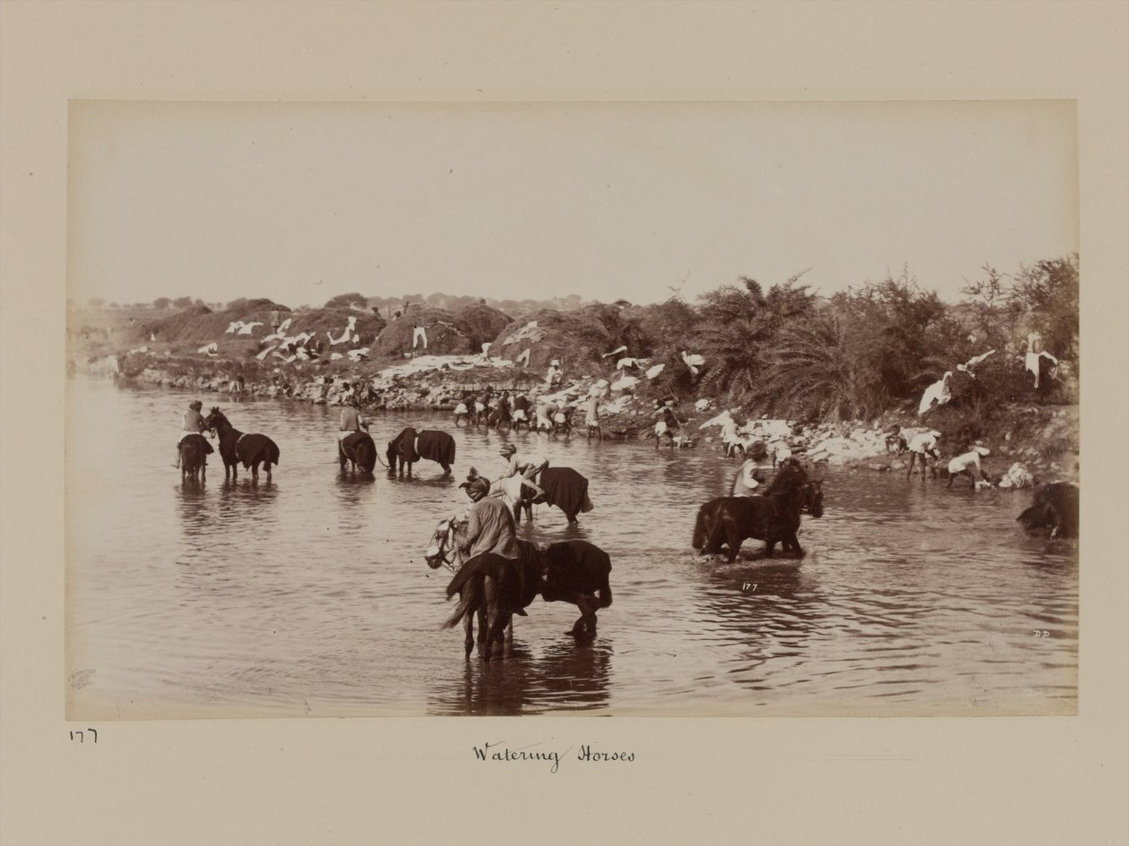 Indiase cavaleristen die hun paarden water geven tijdens het Delhi Kamp van Oefening door Unknown photographer