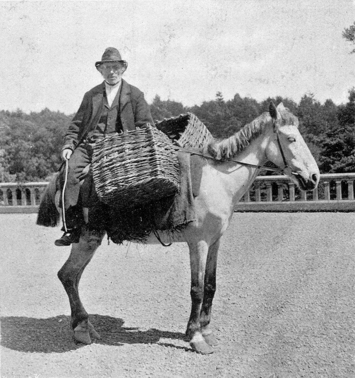 Ierse man op zijn paard (19e eeuw) door Unknown photographer