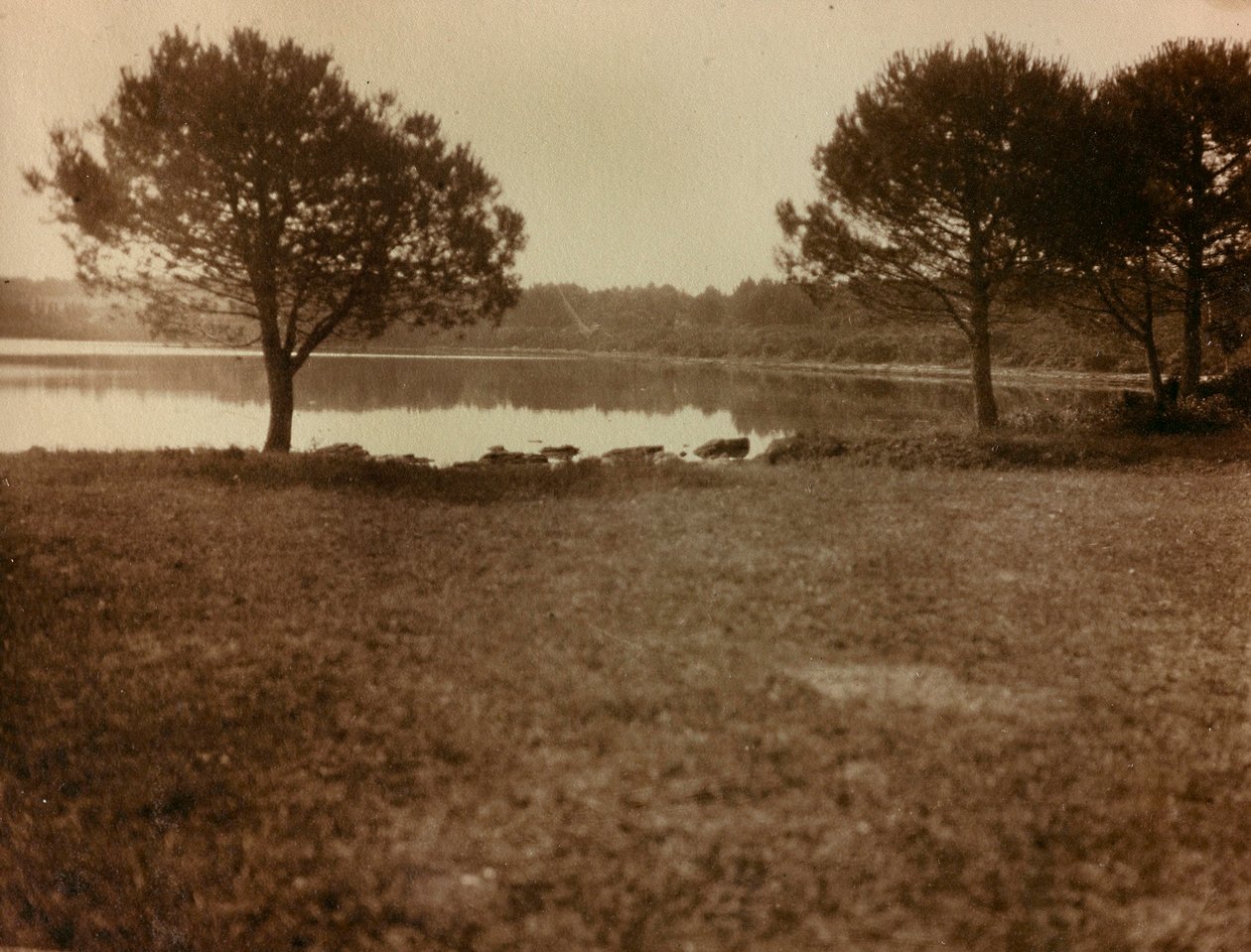 Landschap op de Brijuni-eilanden door Unknown photographer