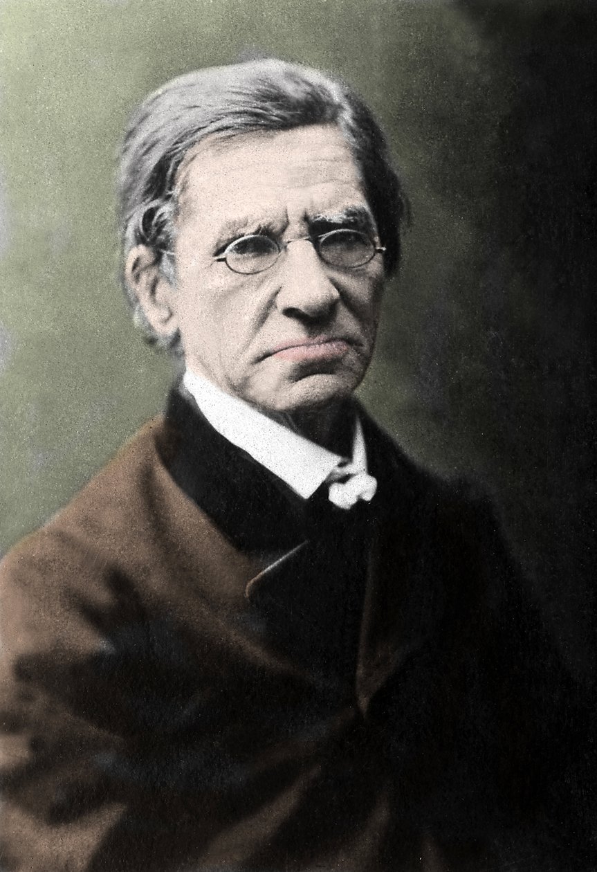 Portret van Emile Littre (1801-1881), Franse filoloog, arts en politicus. door Unknown photographer