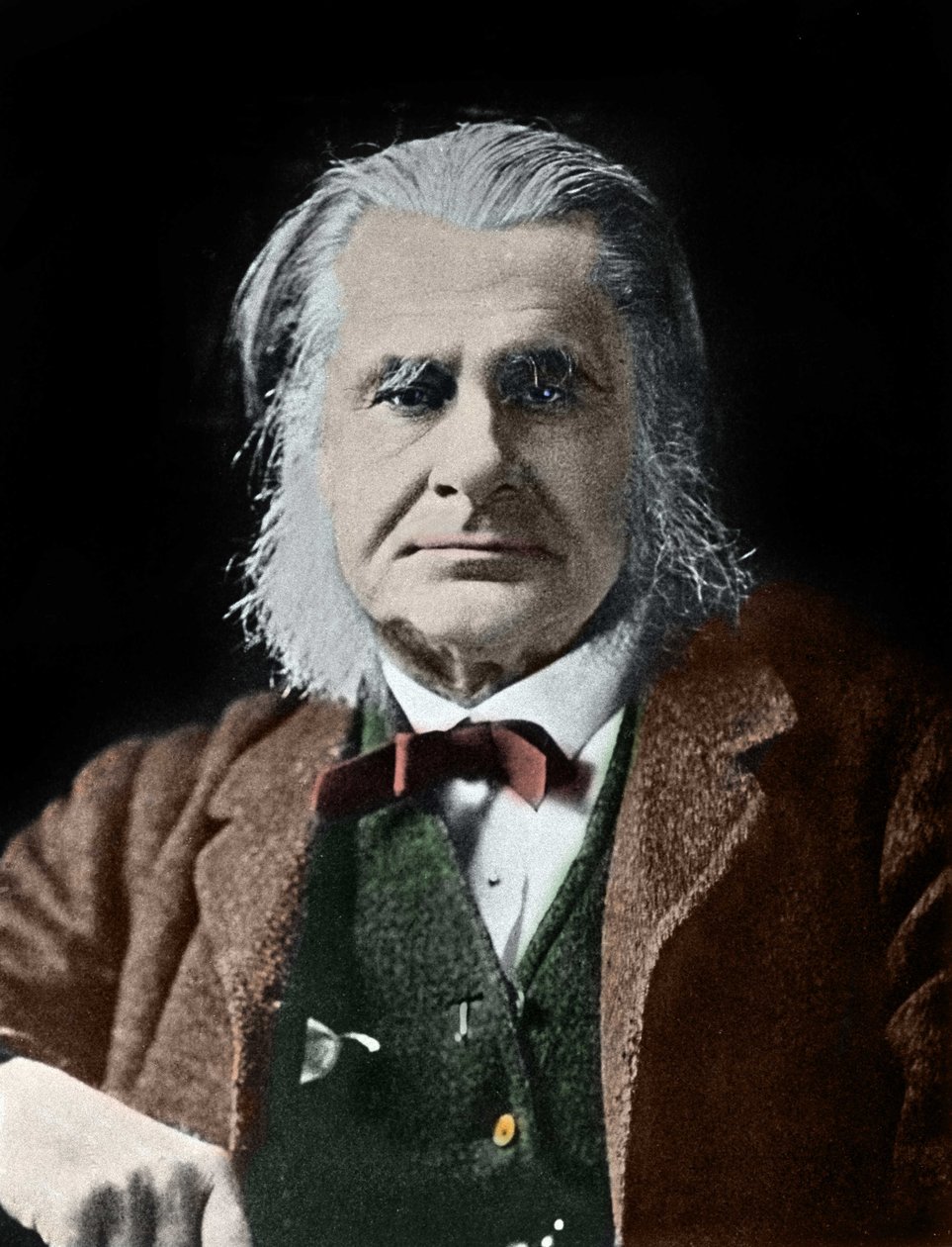 Portret van Thomas Henry Huxley. Britse bioloog (1825-1895) door Unknown photographer