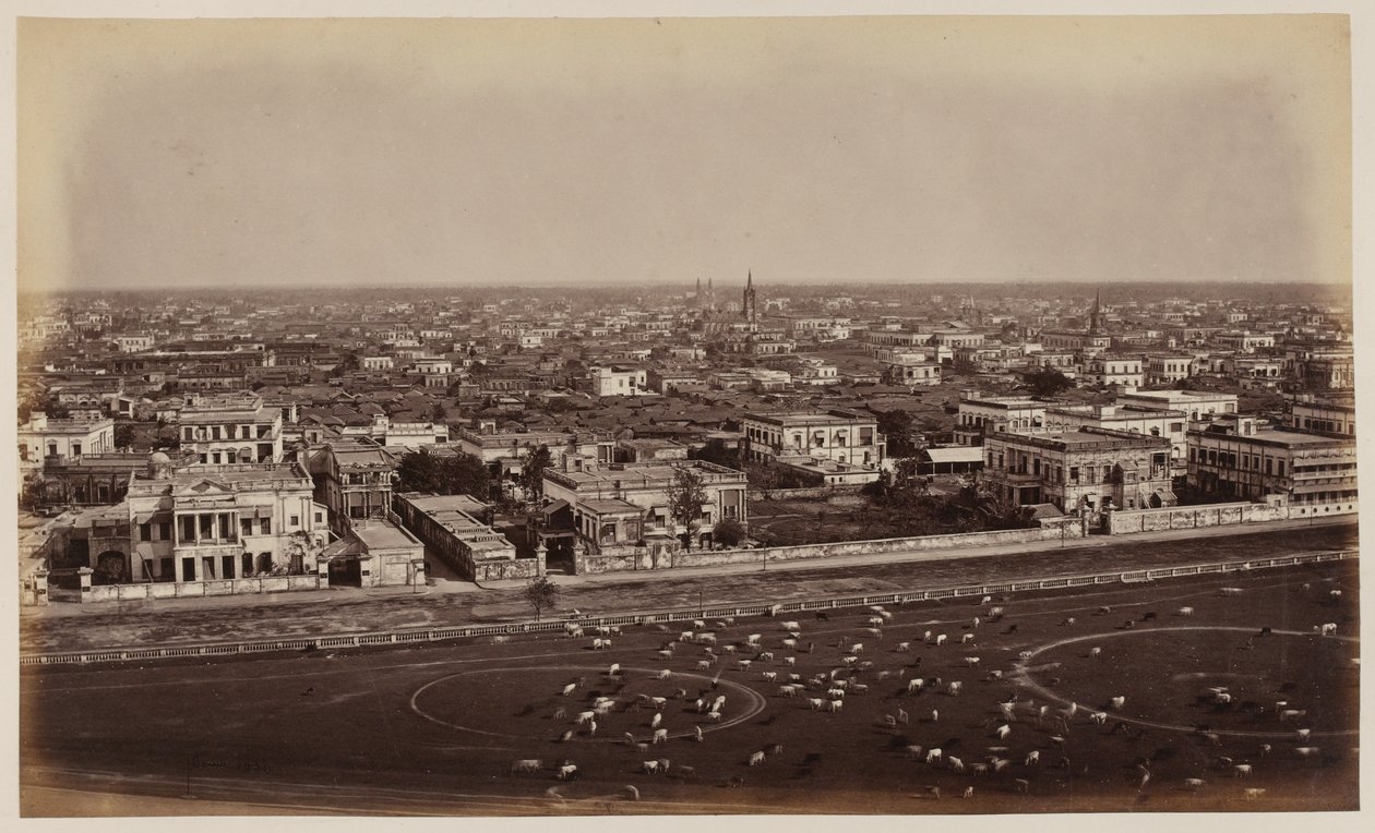Uitzicht vanaf het Ochterlony Monument, Calcutta door Unknown photographer