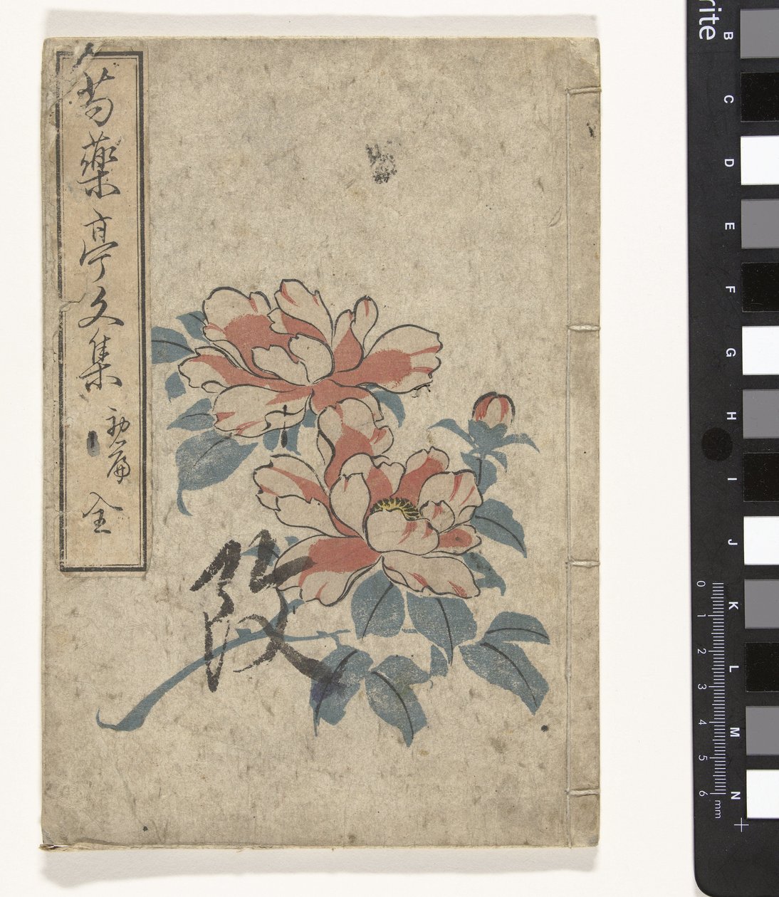 Anthologie van pioenrozen door Utagawa (school of)