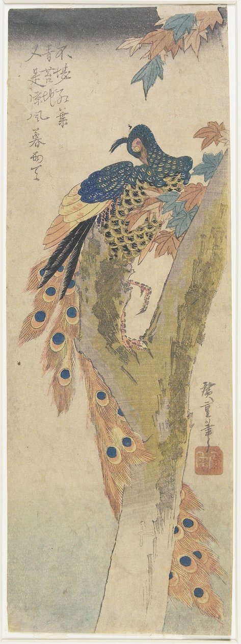 (Pauw op esdoorn), begin 19e eeuw door Utagawa Hiroshige