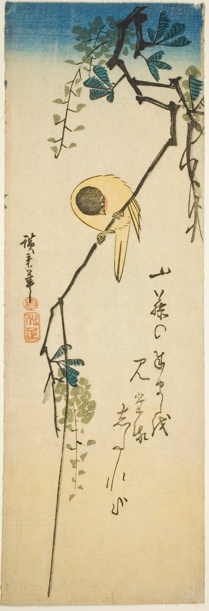 Vogel op Zijdeachtige Wisteria door Utagawa Hiroshige