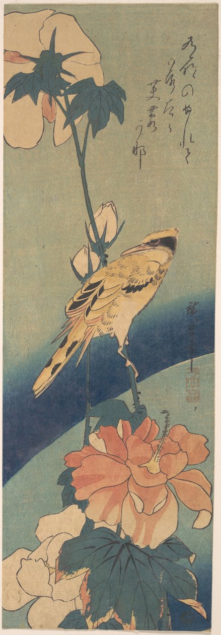 Schwarzrückenpirol auf einem Hibiskusstängel door Utagawa Hiroshige