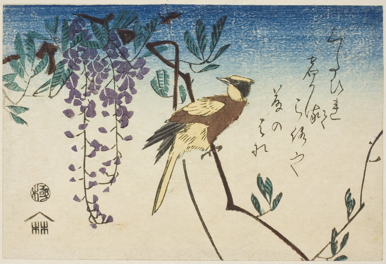 Zwartnekoriolus en wisteria door Utagawa Hiroshige