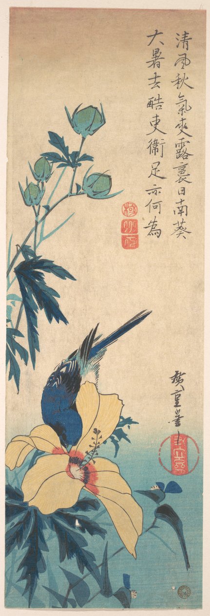 Hibiscus en blauwe vogel door Utagawa Hiroshige