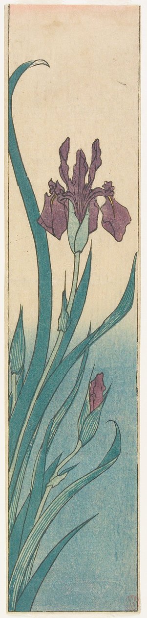Iris door Utagawa Hiroshige