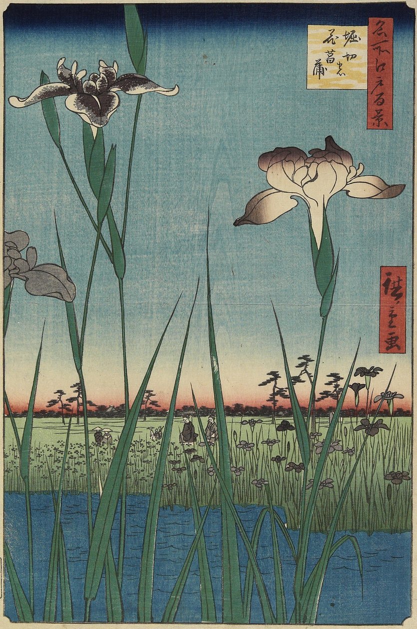 Iristuin in Horikiri, mei 1857 door Utagawa Hiroshige