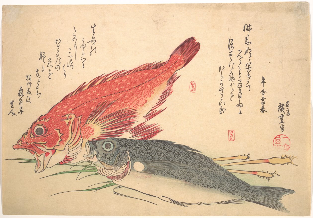 Isaki- en Kasago-vissen, uit de serie Uozukushi (Elke vissoort) door Utagawa Hiroshige