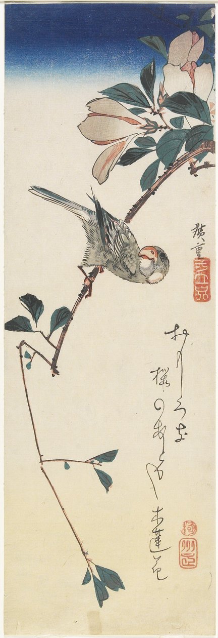 Javaanse mus en magnolia, 1834-1839 door Utagawa Hiroshige