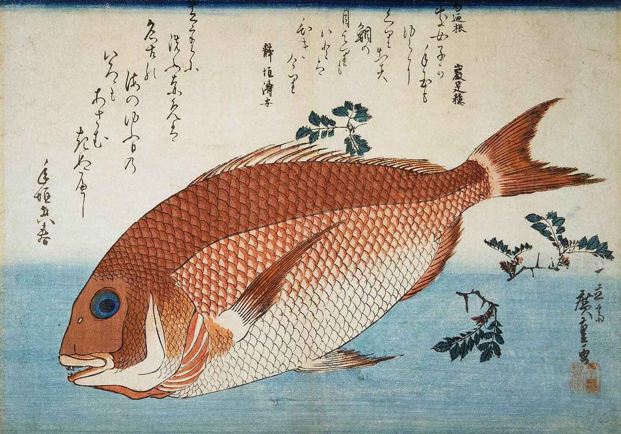 Rode Zeebrasem, 1832-1834 door Utagawa Hiroshige
