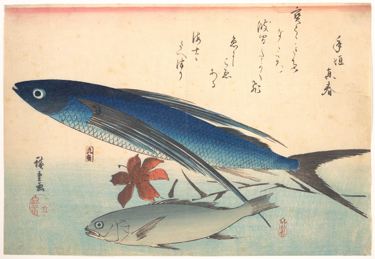 Tobiuo- en ishimotchi-vissen, uit de serie Uozukushi (Alle soorten vis) door Utagawa Hiroshige