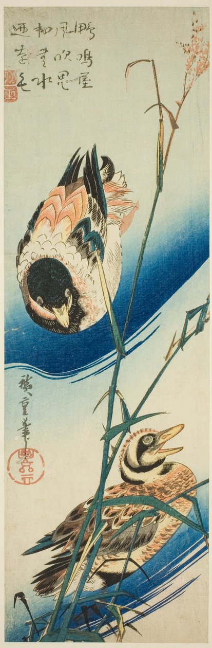 Twee eenden zwemmen tussen het riet door Utagawa Hiroshige