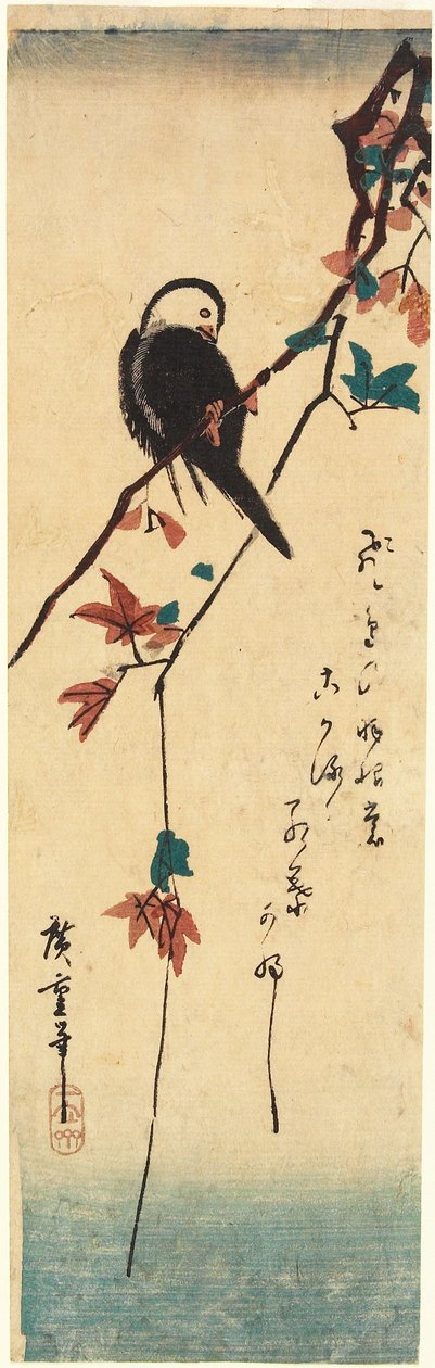 Witkopvogel op een esdoorntak door Utagawa Hiroshige
