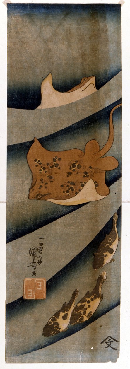 Prenten door Utagawa KUNIYOSHI (1797-1861) die de vis uitbeelden. door Utagawa Kuniyoshi