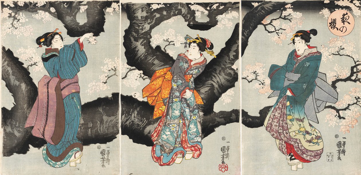 Yoru no sakura [Kersenbloesems 