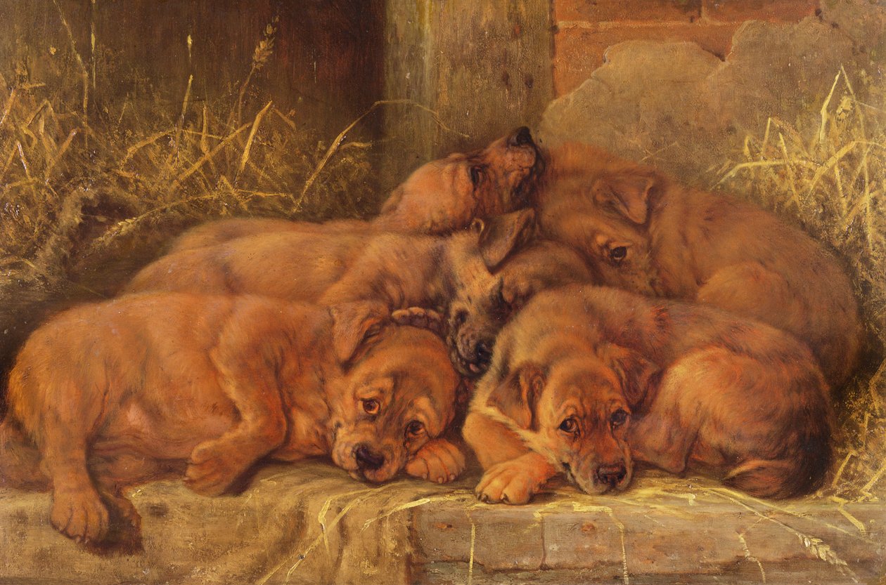 Puppyliefde door Valentine Thomas Garland