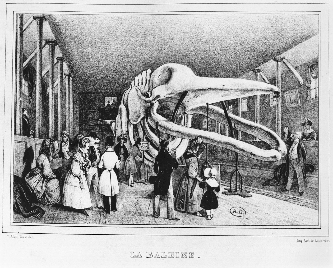De walvis in het Natuurhistorisch Museum in Parijs, c.1840 door Victor Adam