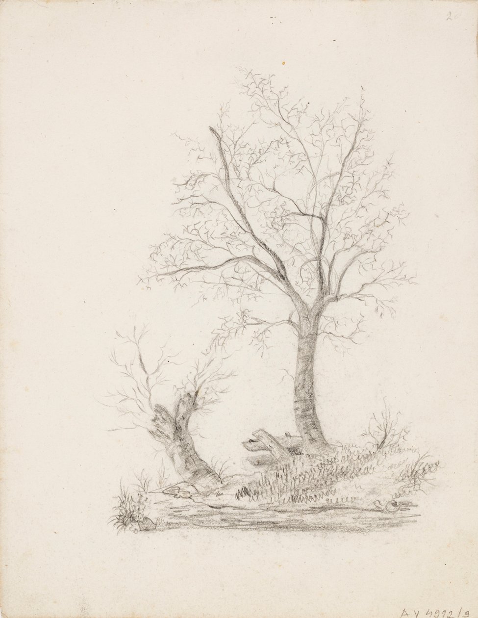 Bomen door Victoria Åberg