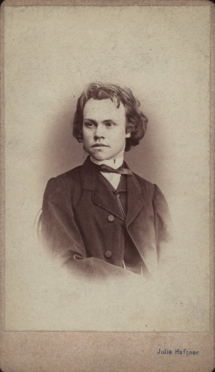 Portret van de componist Anton Rubinstein 1829-1894 door Vienna . Photo studio Julie Haftner